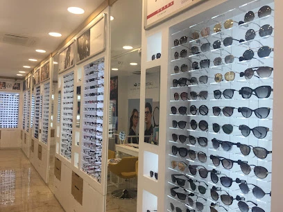 Ck Optik Gözlük Mağazaları