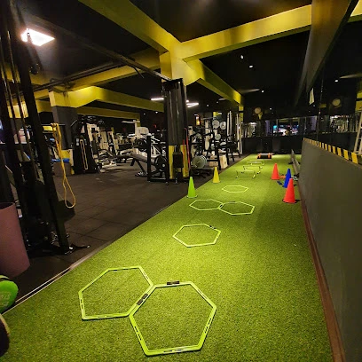 Concept Fit50 Fitness Club