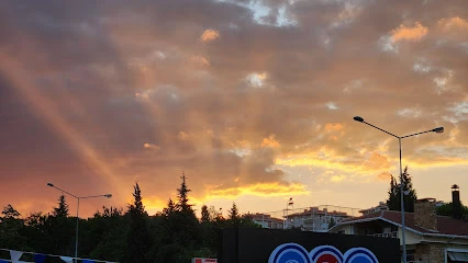 Damla Veteriner Kliniği