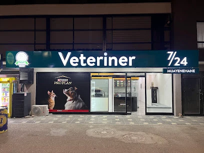 Demirtaş Veteriner Kliniği | 7/24 Acil Veteriner | Nöbetçi Veteriner | Demirtaş Veteriner | Osmangazi Veteriner