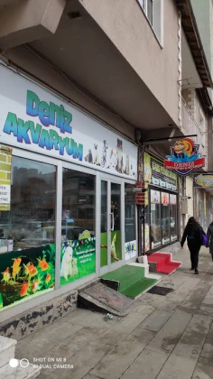 Deniz Akwaryum&Petshop