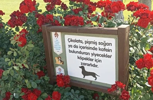 Denizli Belediyesi Sokak Hayvanları Kliniği