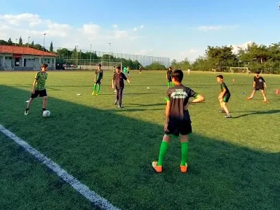 Denizli Horoz Gençler Gücü Futbol Okulları