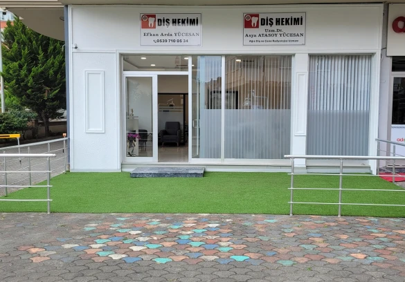Diş Hekimi Dt. Efkan Arda Yücesan