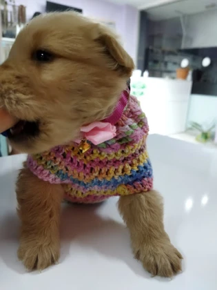 Dr. Haw. Hayvan Sağlığı Merkezi