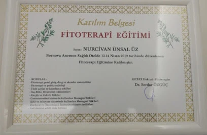 Dr. Nurcivan Ünsal Üz Adana Ozon Tedavisi Homeopati Bütüncül Tıp Fonksiyonel Tıp Fitoterapi Mezoterapi