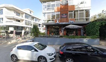 Dr. Vildan Tekelioğlu, Akupunktur