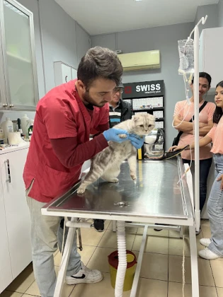 Dünya Veteriner Kliniği