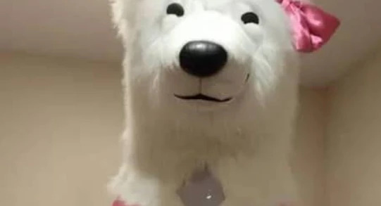 Düzce Aygunetkinlik Palyaço