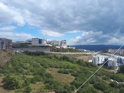 Düzce Üniversitesi