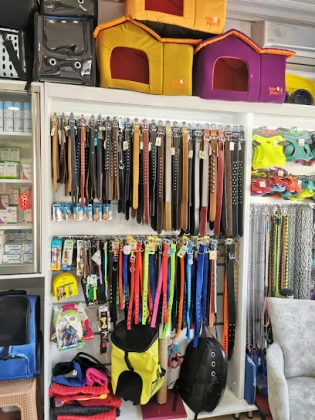 Düzce Veteriner Tıp Merkezi