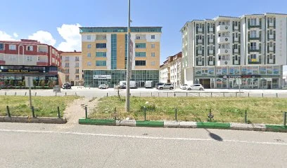 E.c.a. Yetkili Servis