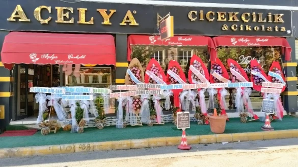 Elazığ Çiçekçi Açelya Çiçekçilik