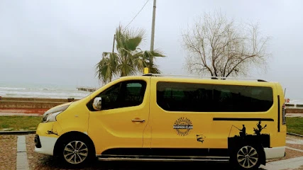 Elazığ Vilayet Taksi