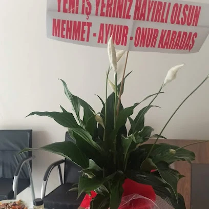 Emel Karadaş Sigorta