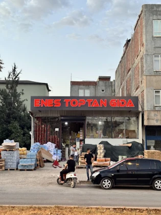 Enes Toptan Gıda