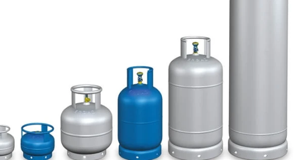 Ergaz Tüp Bayi Kars