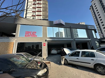 Erkut Oto Elektronik - Adana Oto Beyin - Adana Oto Elektronik