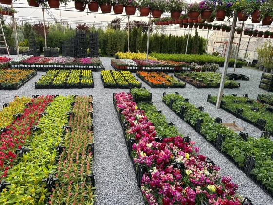 Erzincan Peyzaj Fidancılık