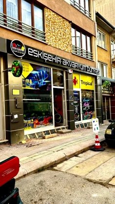 Eskişehir Akvaryum Dünyası