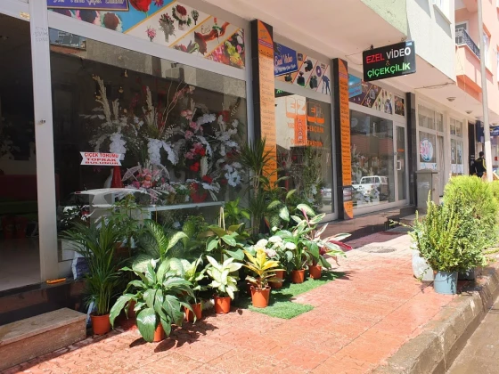 Ezel Çiçekçilik & Çikolata