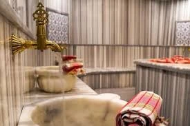 Fatsa Termal & Spa Otel ( Sarmaşık Kaplıcası )