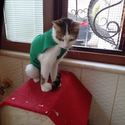 Fi Veteriner Kliniği