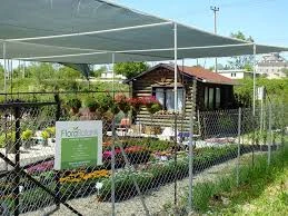 Flora Botanik Fidanlama Ve Çiçekçilik