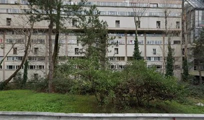 Fujitsu Teknik Destek