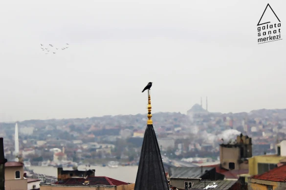 Galata Sanat Merkezi