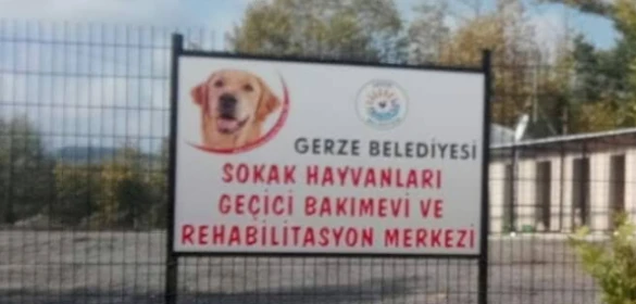Gerze Belediyesi Sokak Hayvanlari Bakım Evi
