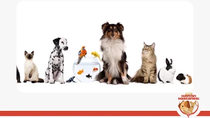 Giresun Hayvan Hastanesi