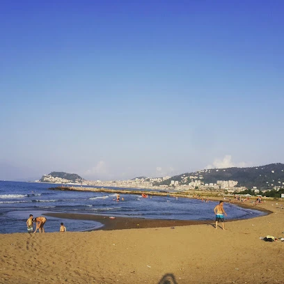 Giresun Sosyal Güvenlik İl Müdürlüğü