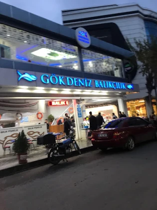 Gökdeniz Balıkçılık