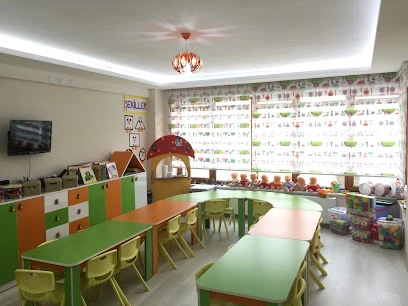 Gülen Yüzler Anaokulu