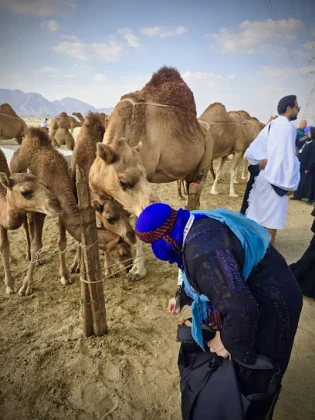 Gümüşoluk Turizm Hac-Umre