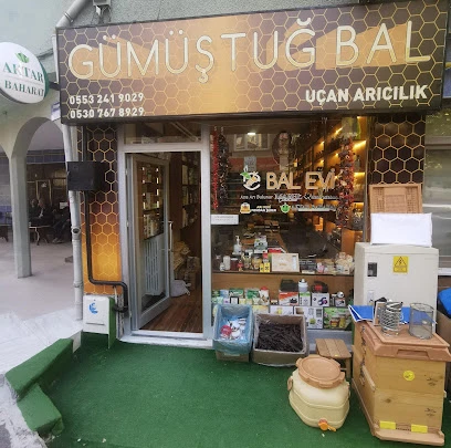 Gümüştuğ Bal Aktar