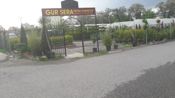 Gür Sera Peyzaj Fidanlık