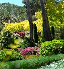 Gür Sera Peyzaj Fidanlık