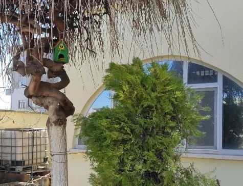 Haci Emin Un Fabrikasi