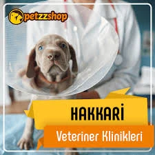 Hakkari Veteriner Kliniği