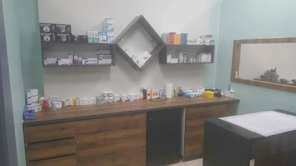 Hemvet Veteriner Muayenehanesı