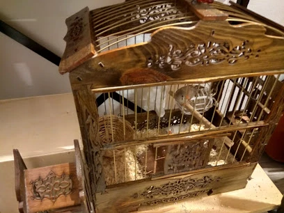 Hobby Pet Shop Hobi Grup Ltd.