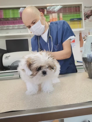 Hoşdere Veteriner Kliniği