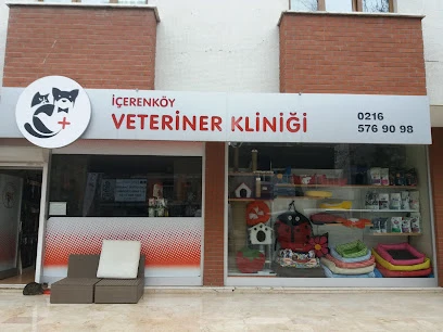 İçerenköy Veteriner Polikliniği