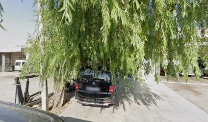 Iğdır Motor Yenileme