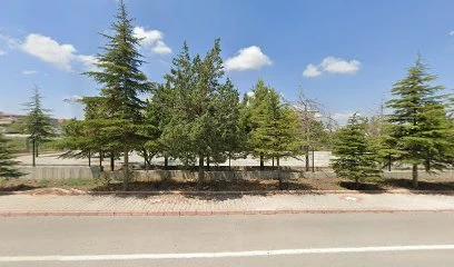 İnci Kreş Ve Gündüz Bakımevi