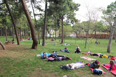 İpekböceği Anaokulu Ve Kreş | Fatih | İstanbul