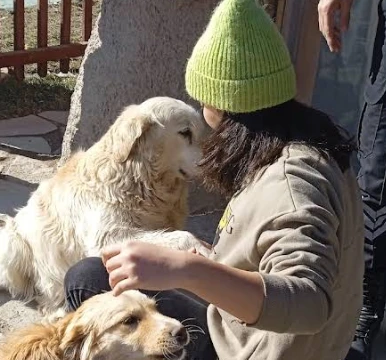 Isparta Belediyesi Hayvan Barınağı