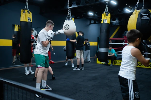 Isparta Boks Akademisi